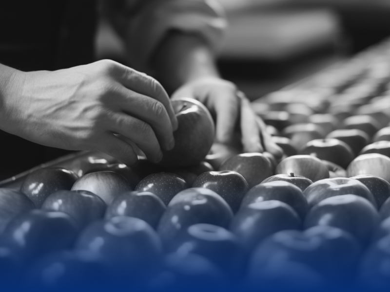 Farming & Food Processing